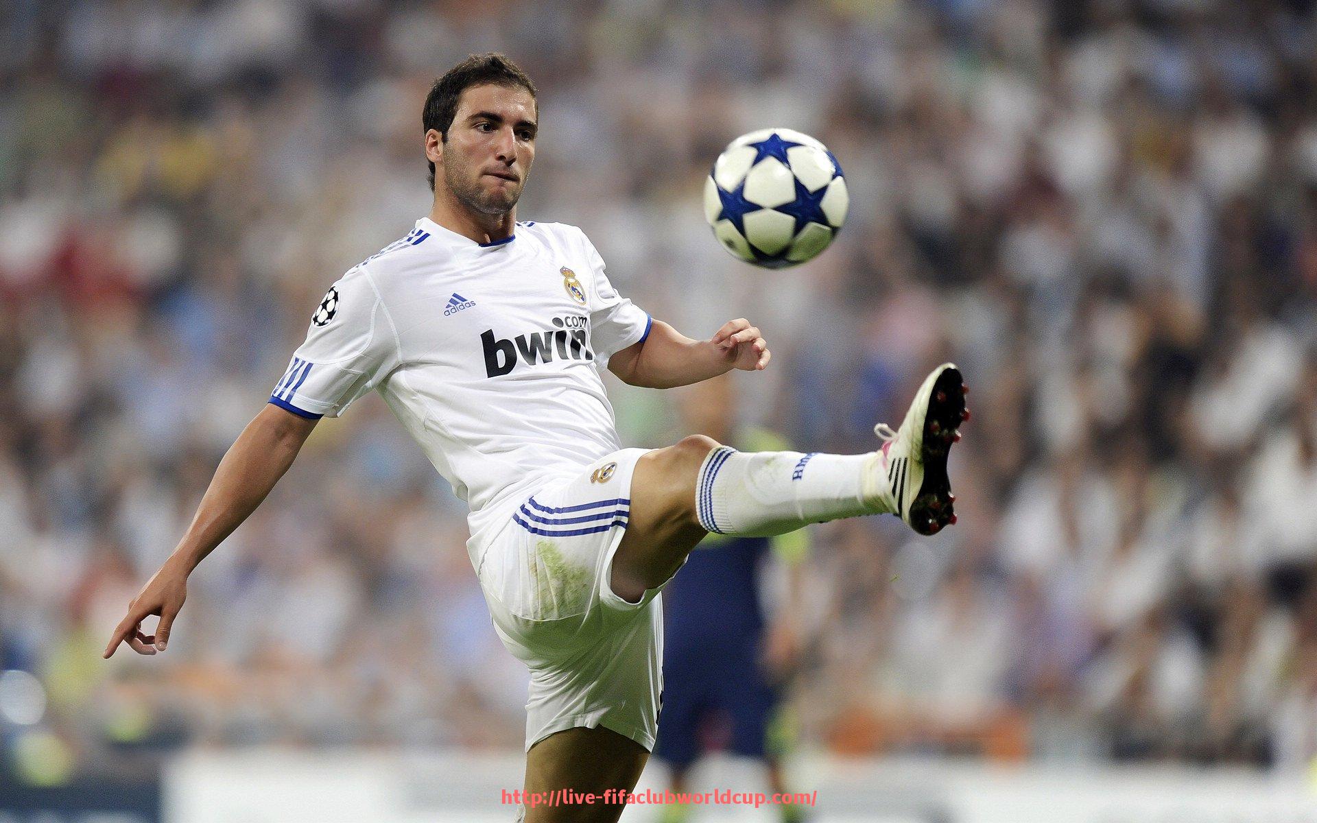 世俱杯直播-星驰品牌全系列健身器材功能对比与实用性分析